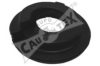 CAUTEX 021317 Control Arm-/Trailing Arm Bush